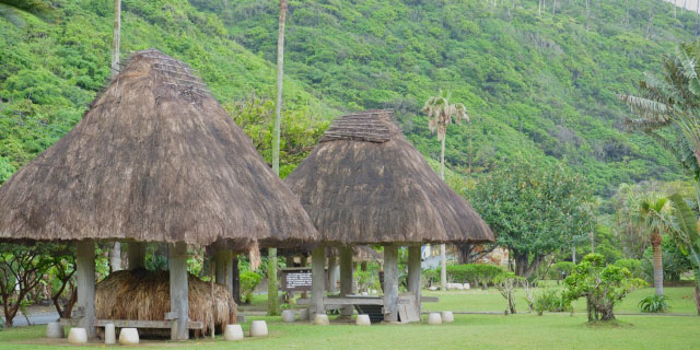 鹿児島県(徳之島・奄美大島)