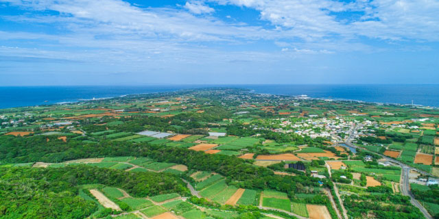 鹿児島県(種子島・屋久島)