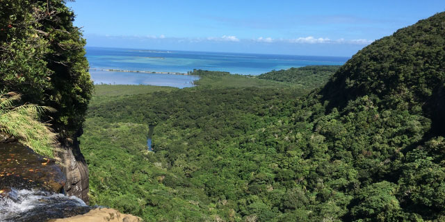 沖縄県(石垣島・宮古島・西表島)